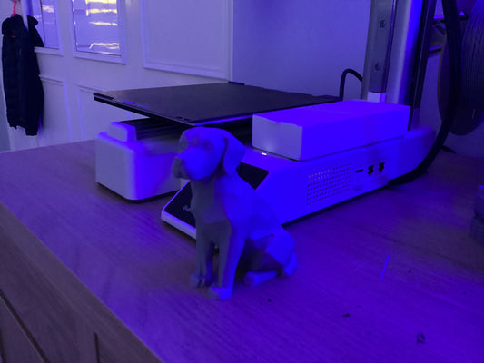 Labrador dog desk model
